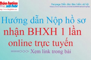 How to apply online to receive one-time social insurance?