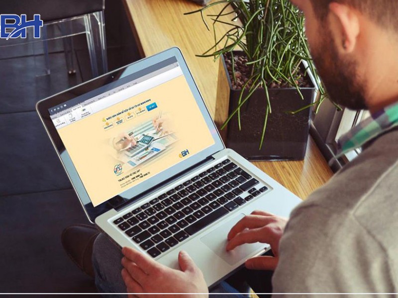 Instructions on the basic steps when declaring social insurance online